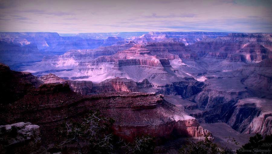Grand Canyon Early Evening Light Photograph by Aaron Burrows
