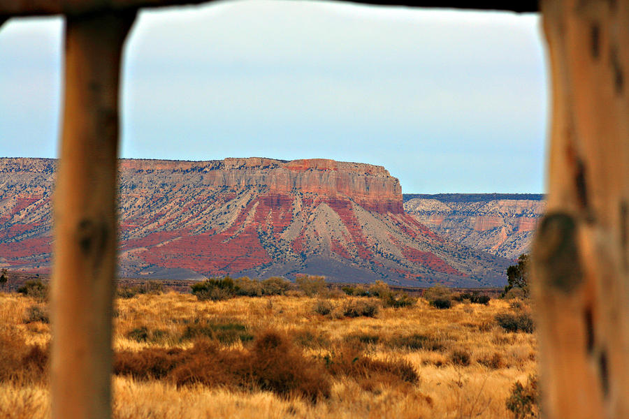 Grand Canyon- Framed Photograph by Douglas Barnard