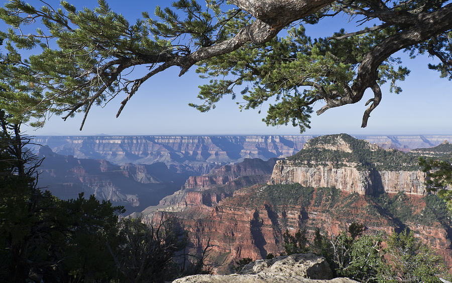 Grand Canyon from Bright Angel Trail Photograph by Gary Eason