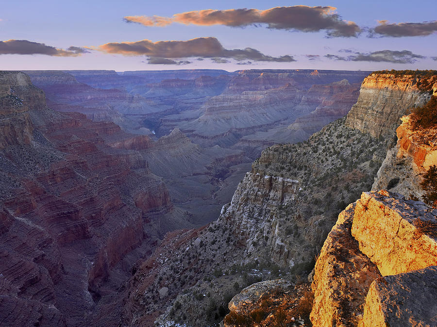 Grand Canyon Grand Canyon National Park Photograph by Tim Fitzharris