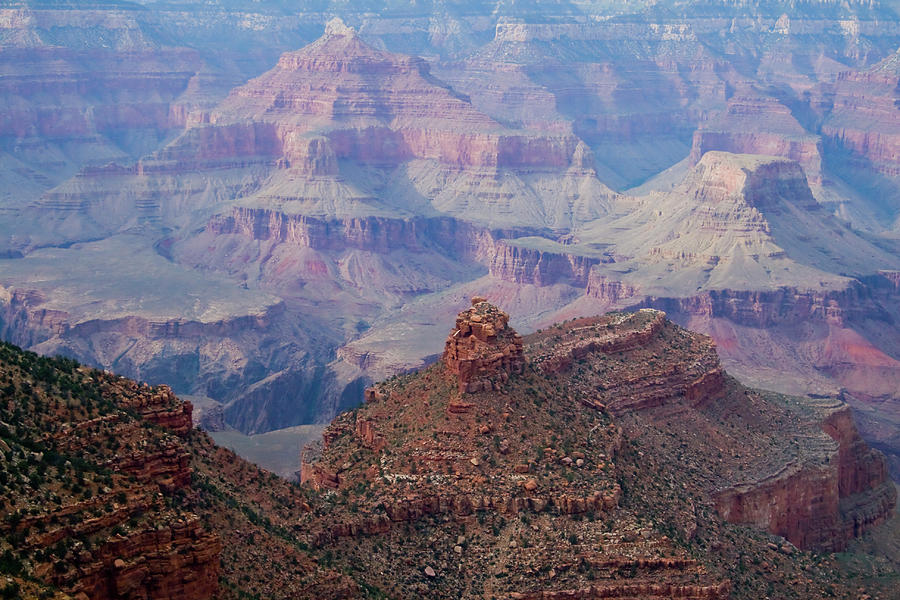 Grand Canyon III Photograph by Tom Singleton