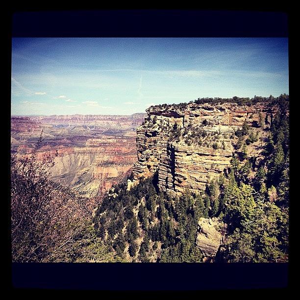 Prehistoric Photograph - Grand Canyon by Isabel Poulin
