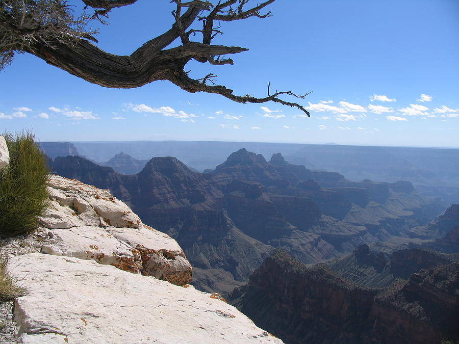 Grand Canyon Photograph by Mark Norman