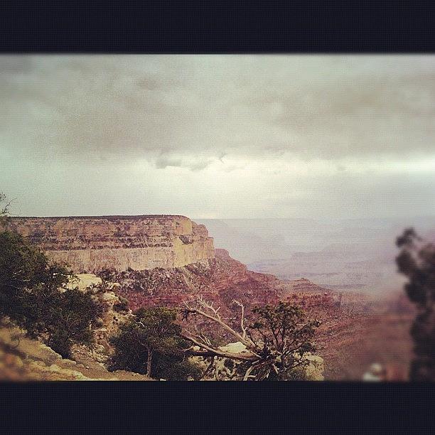 Grand Canyon Photograph by Michelle Risor