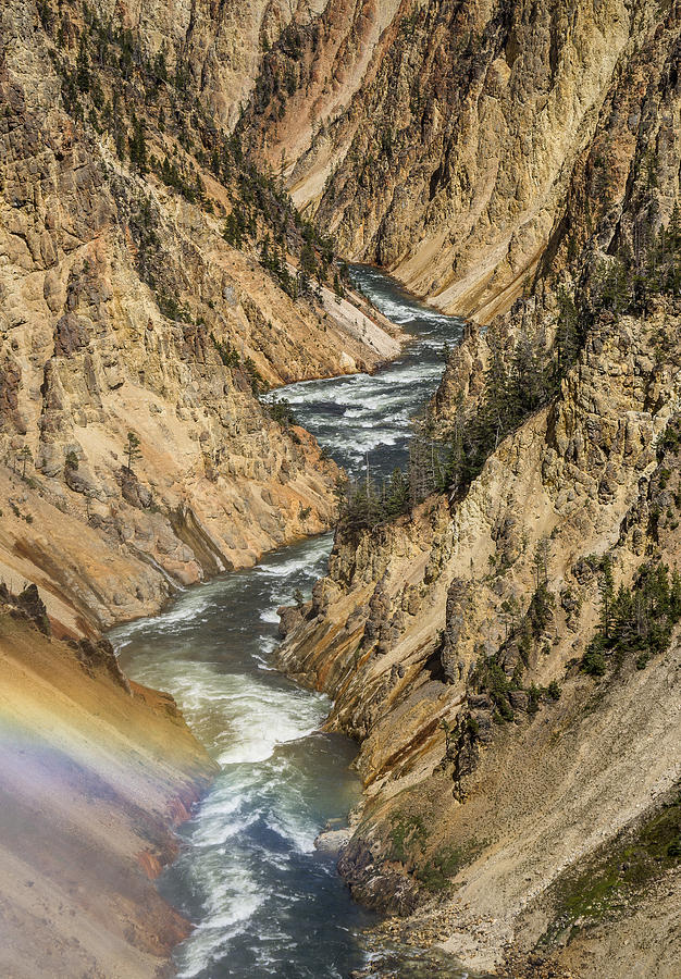 Grand Canyon of the Yellowstone and Rainbow Photograph by Greg Nyquist