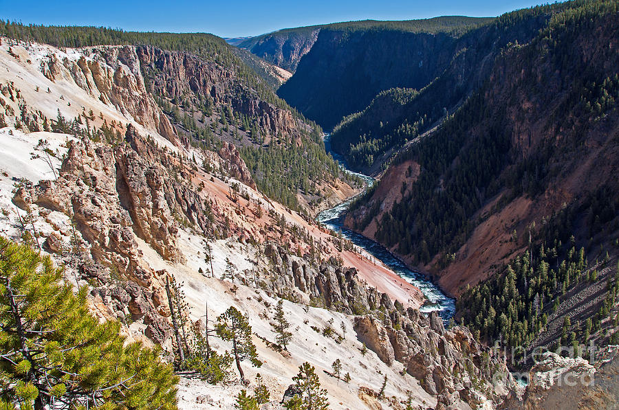 Grand Canyon of the Yellowstone Photograph by Bob and Nancy Kendrick