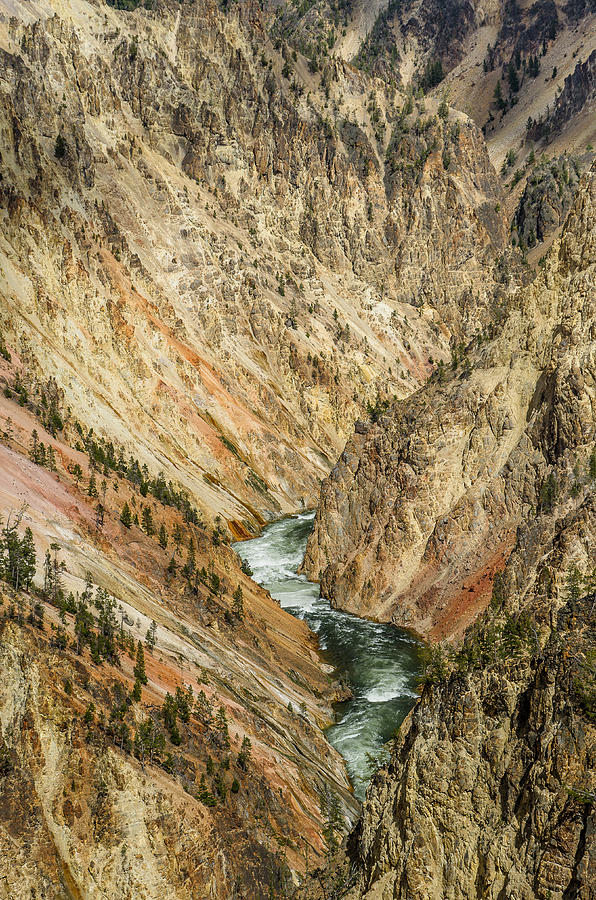 Grand Canyon of the Yellowstone Photograph by Greg Nyquist