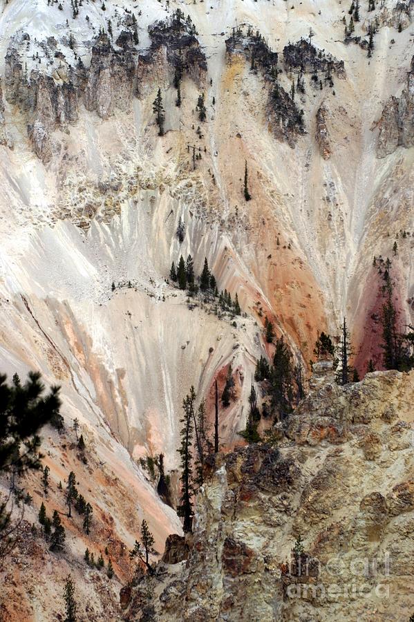 Grand Canyon Of Yellowstone Vertical Photograph by Living Color Photography Lorraine Lynch