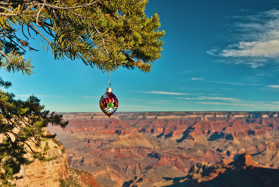 Grand Canyon Ornament Photograph by Lou  Novick