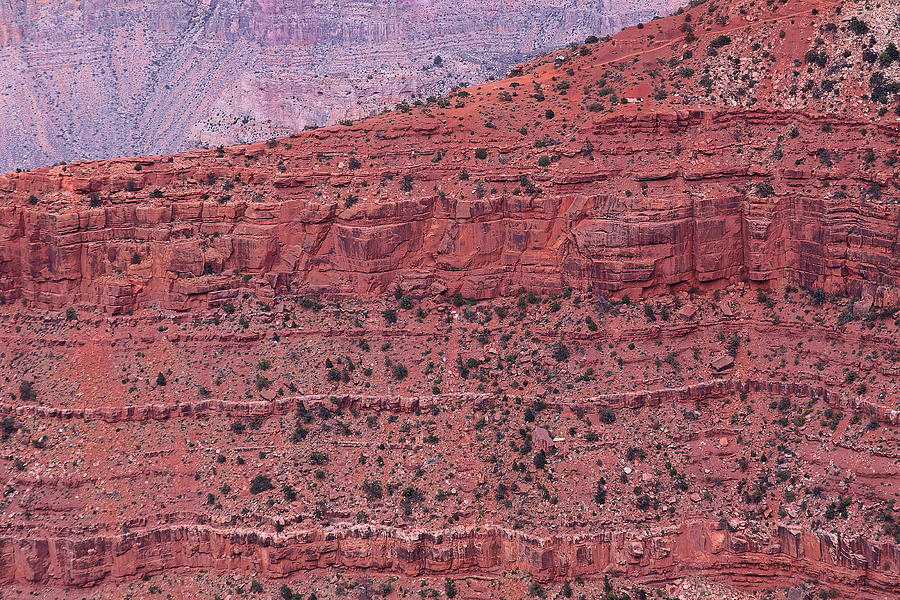 Grand Canyon Red Wall Photograph By Viktor Savchenko - Fine Art America