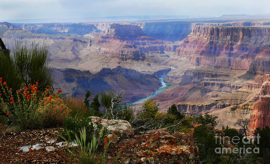 Grand Canyon Riverview Photograph by Jeanne  Woods