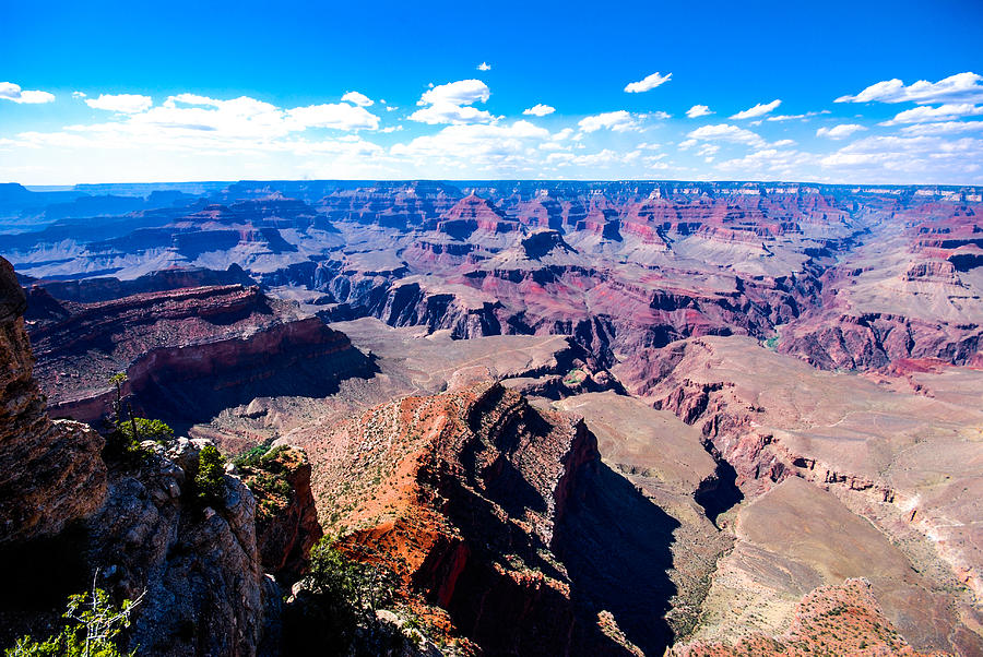 Grand Canyon National Park Photograph - Grand Canyon Rock Face by David Waldo