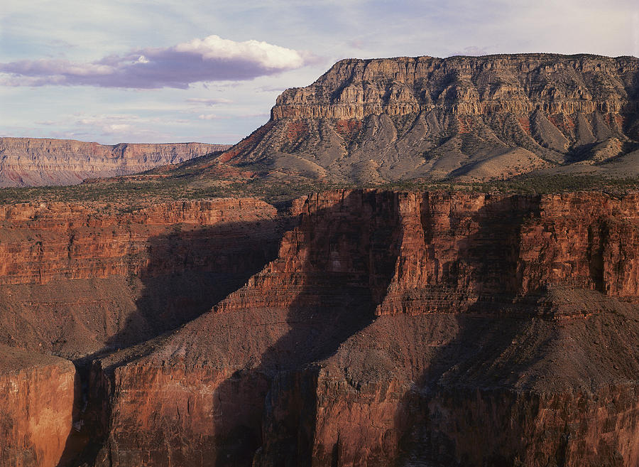 Grand Canyon Seen From Toroweep Photograph by Tim Fitzharris