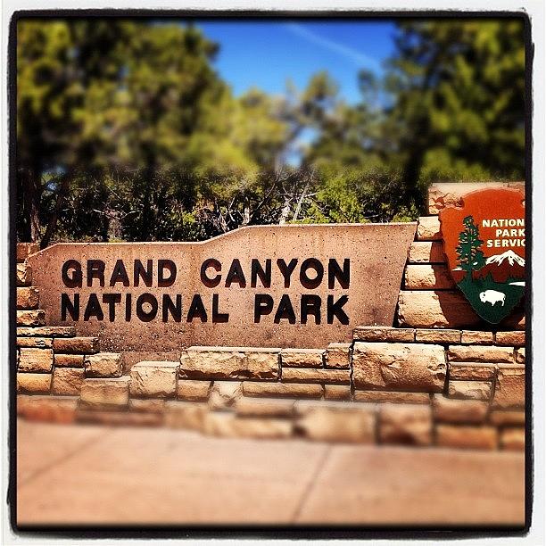 Prehistoric Photograph - Grand Canyon Sign by Isabel Poulin