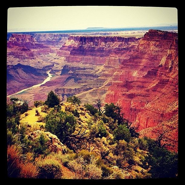 Nature Photograph - Grand Canyon by Soda Love