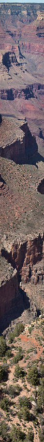 Grand Canyon Vertical Pano Photograph by Gregory Scott