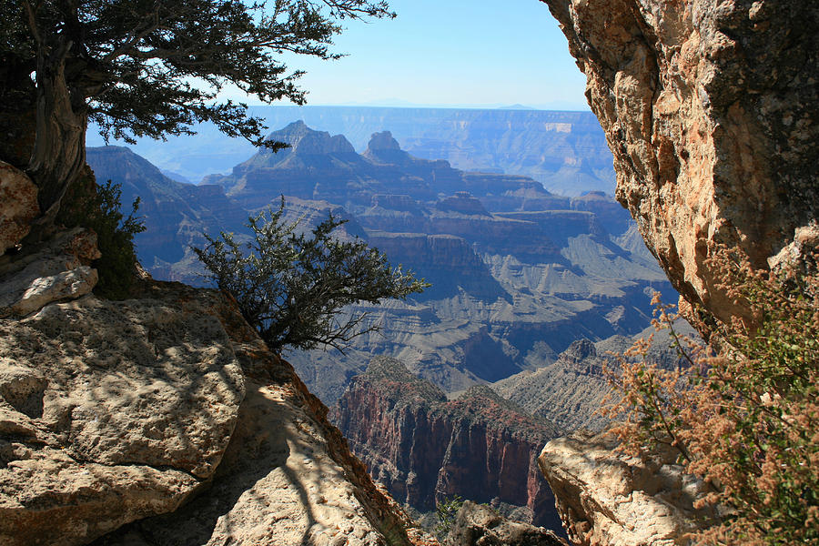 Grand Canyon View  by Marty Fancy