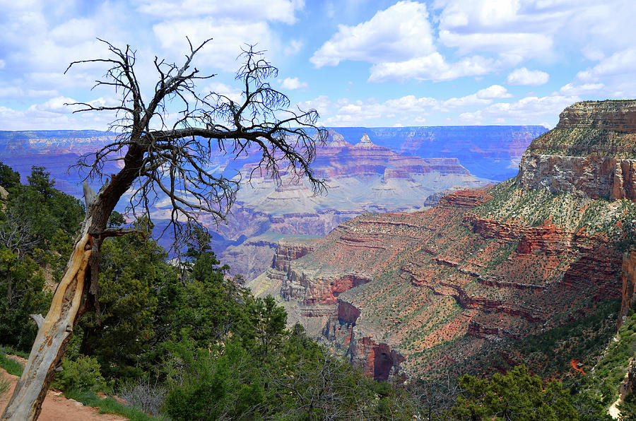 Grand Canyon View Photograph by Paul Mashburn