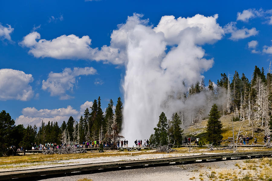 Grand Geyser Photograph by Greg Norrell