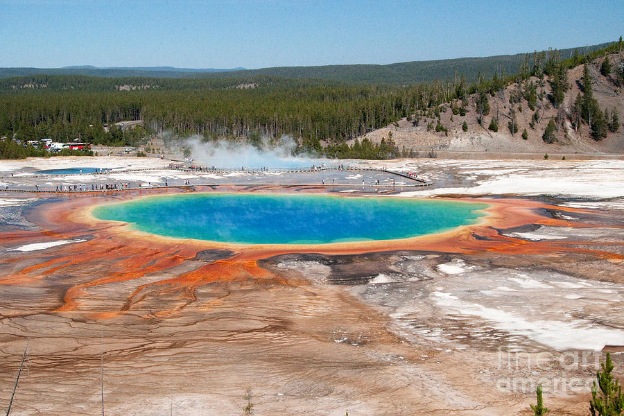 Grand Prismatic Spring Photograph by Bob and Nancy Kendrick