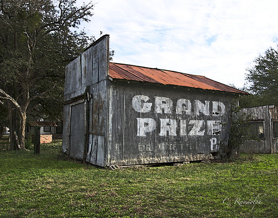 Grand Prize Photograph by Cheri Randolph