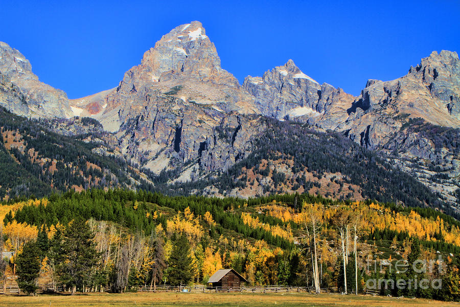 Grand Teton and Cabin Photograph by Edward R Wisell