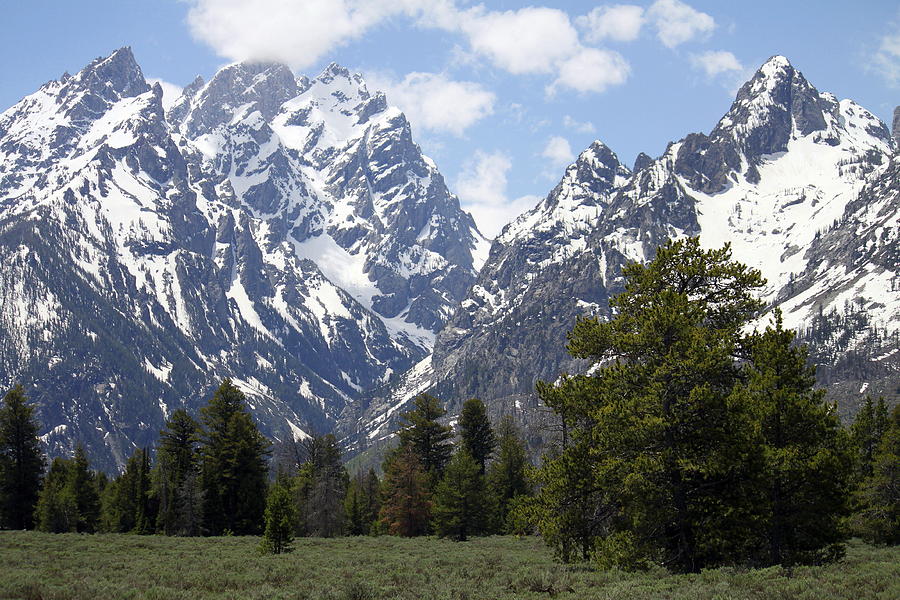 Grand Teton Photograph by Angie Vogel