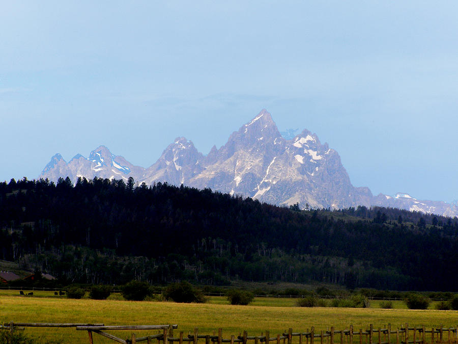 Grand Tetons IV Photograph by Mark Caldwell - Fine Art America