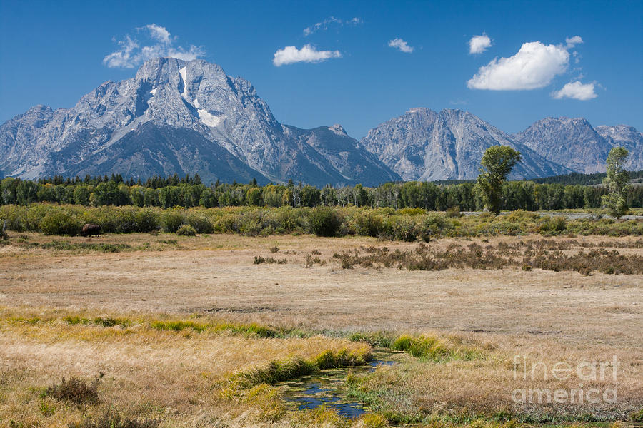 Grand Tetons Late Summer 2012 Photograph by Katie LaSalle-Lowery