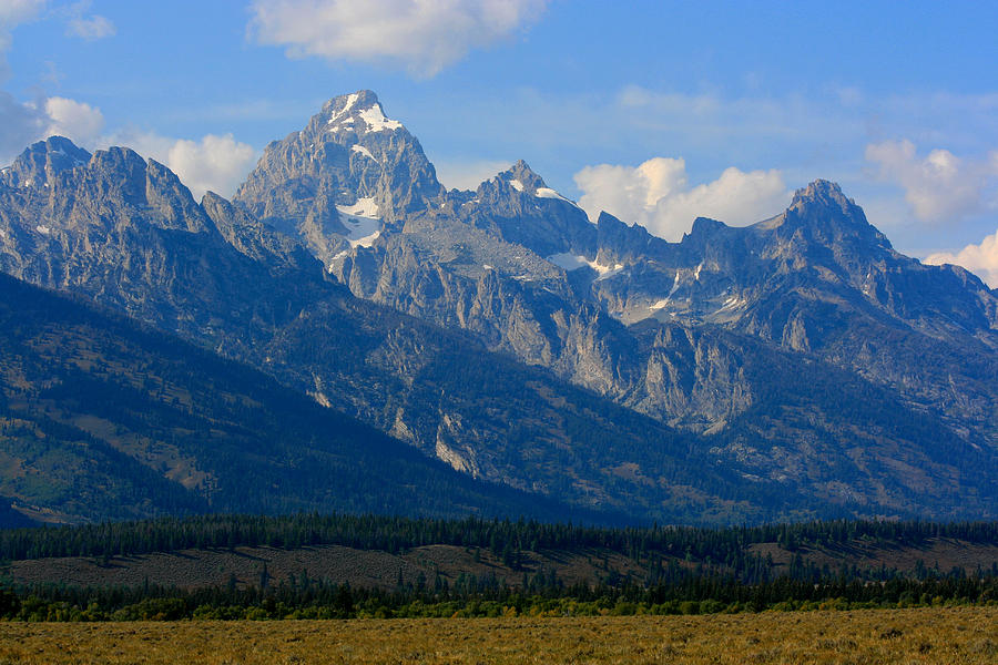 Grand Tetons Photograph by Marty Fancy