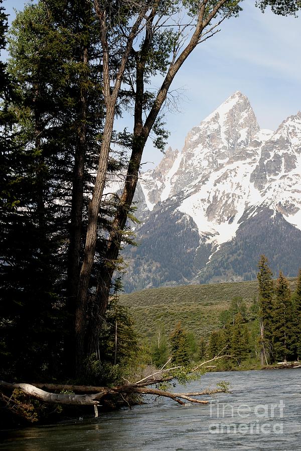 Grand Tetons Vertical Photograph by Living Color Photography Lorraine Lynch