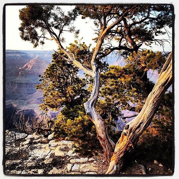 #grandcanyon | Grand Canyon Photograph by Lori Walter