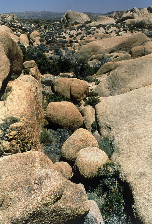 Chemical Weathering Photograph - Granite Rock Exposed To Spheroidal Weathering by Sinclair Stammers