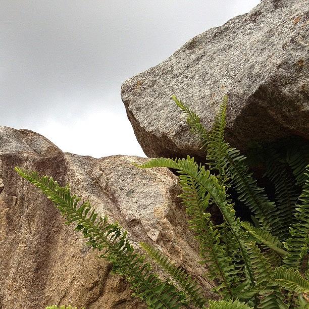 Instagram Photograph - Granite Sky by Cameron Bentley