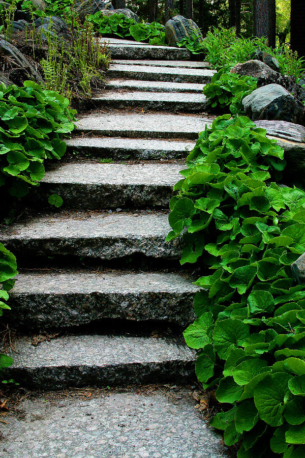 Granite  Steps    Extended  View Photograph by William Meemken