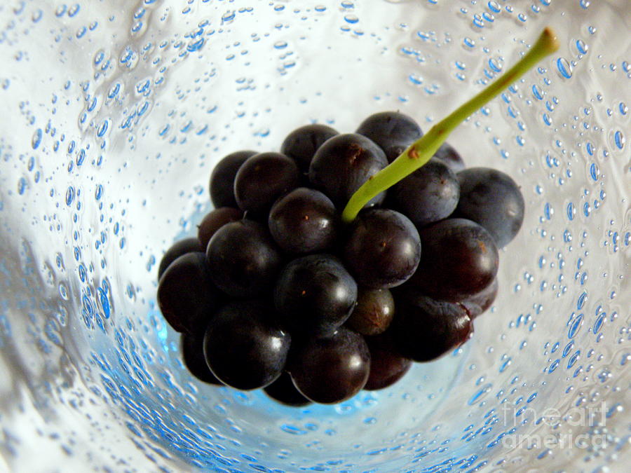 Grape Cluster in Biot Glass Photograph by Lainie Wrightson