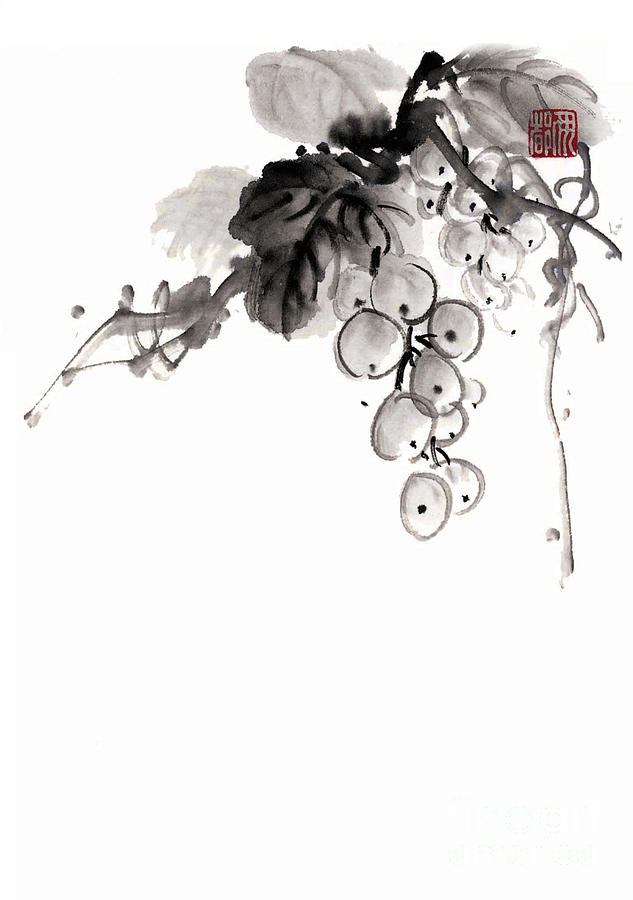 Black And White Drawing - Grape by Japan collection