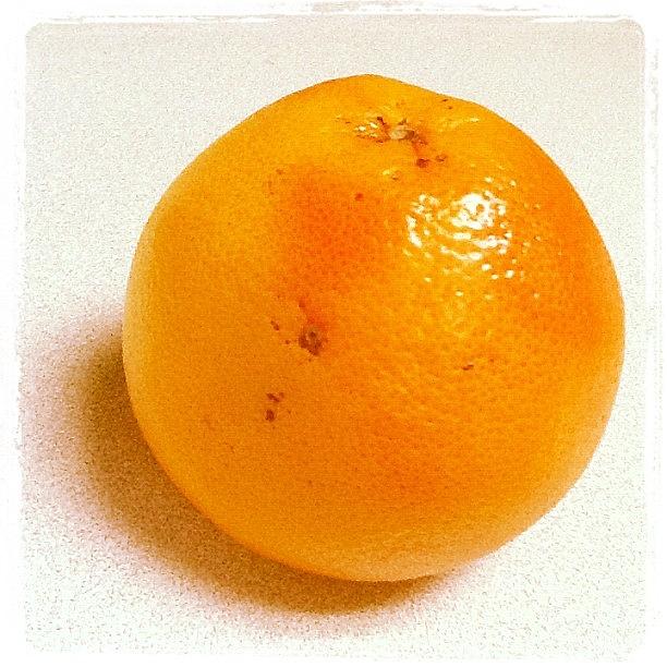 Grapefruit ...instagram Style Photograph by Sharon F