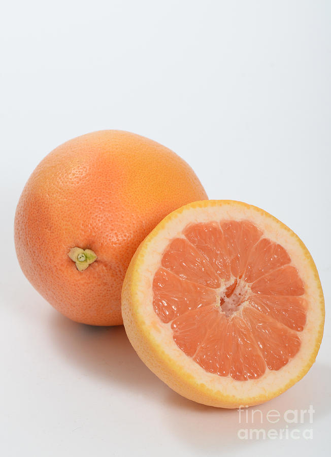 Grapefruit Photograph by Photo Researchers, Inc.