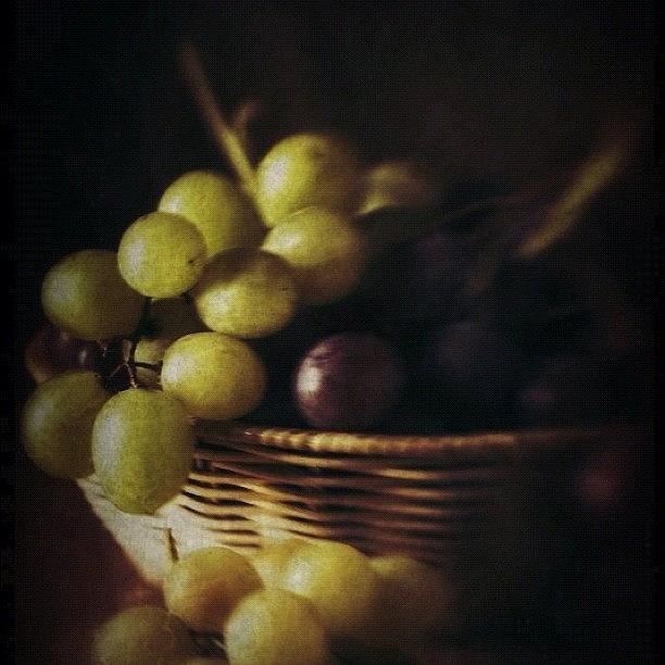Grape Photograph - Grapes by Ale Romiti 🇮🇹📷👣