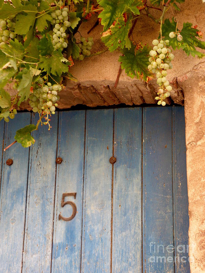 Grape Photograph - Grapes Over Blue Door by Lainie Wrightson