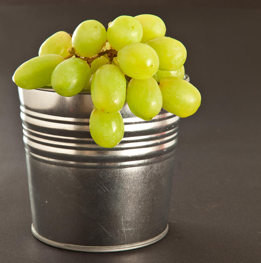 Grape Photograph - Grapes by Tom Gowanlock