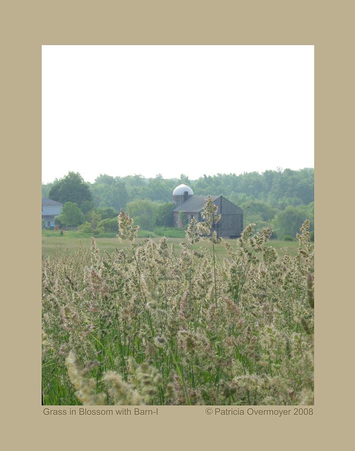 Grass in Blossom with Barn-I Photograph by Patricia Overmoyer