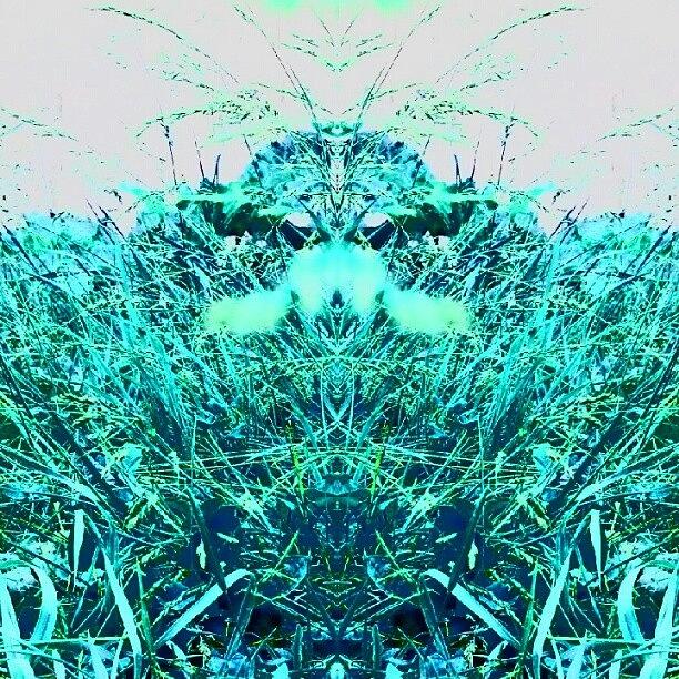 Abstract Photograph - Grass Spirit #android #abstract #art by Marianne Dow
