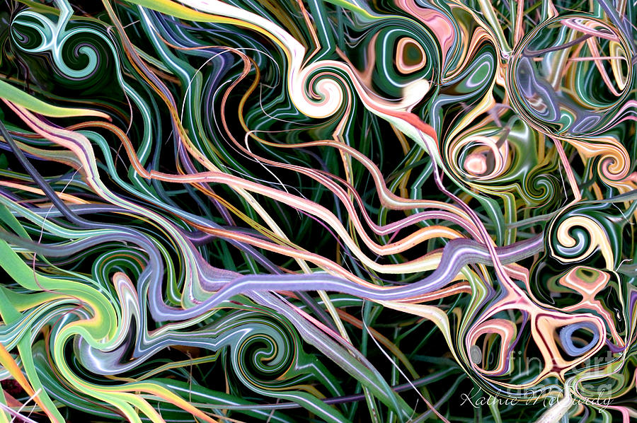 Grass Swirls and Circles Photograph by Kathie McCurdy