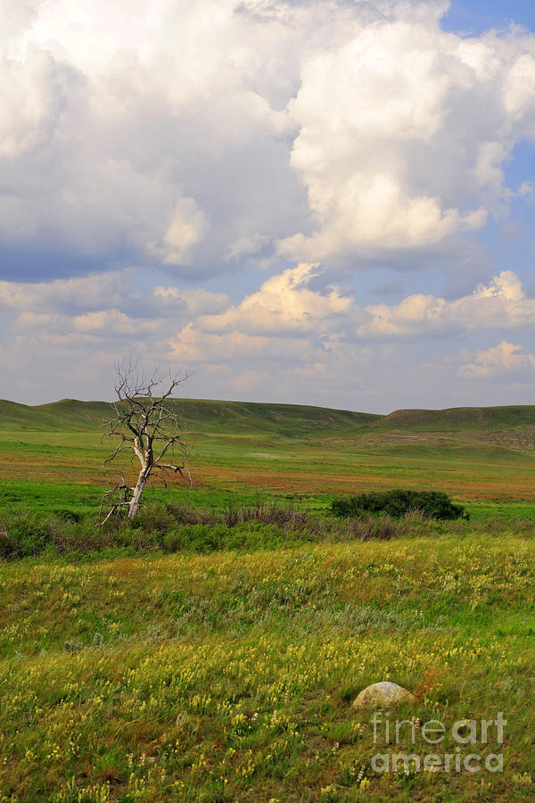 Grasslands National Park Photograph by Charline Xia
