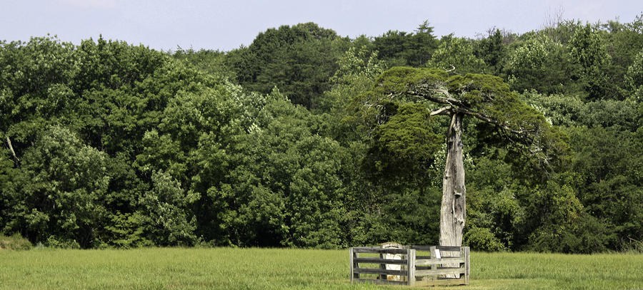 Brick Photograph - Grave of Lafayette Meeks Appomattox Virginia by Teresa Mucha