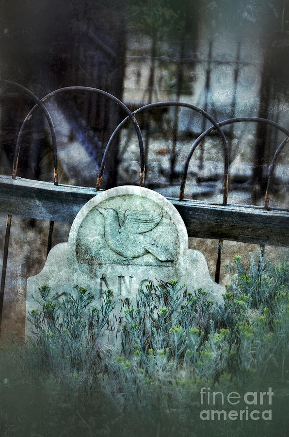Gravestone with Dove Carved  Photograph by Jill Battaglia