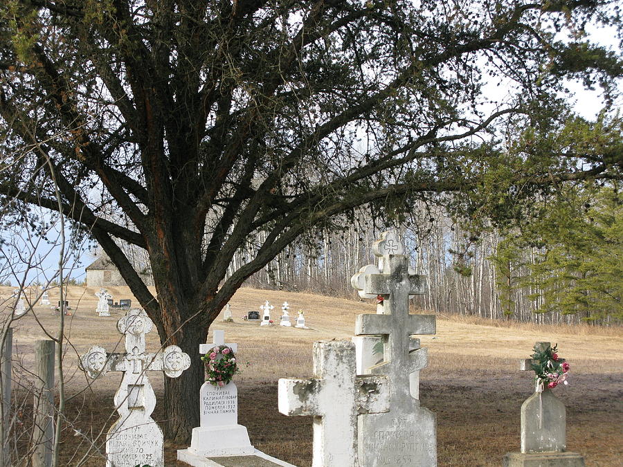 Graveyard Photograph by Brian Sereda