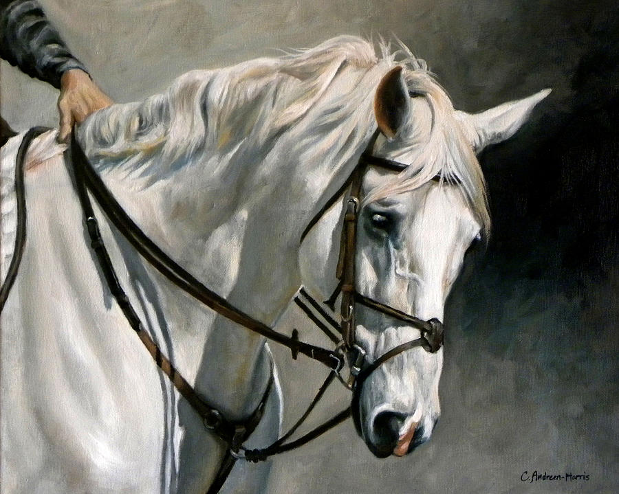 Equine Painting - Gray by Carole Andreen
